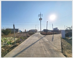  2024Ÿ27545   ϵ 31-52       ()