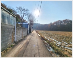  2024Ÿ27545   ϵ 31-52       ()