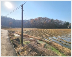  2024Ÿ27545   ϵ 31-52       ()