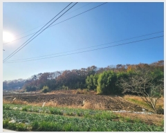  2024Ÿ27545   ϵ 31-52       ()