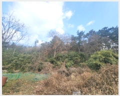  2024Ÿ27972     178-4      (Ӿ)