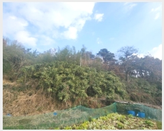  2024Ÿ27972     178-4      (Ӿ)