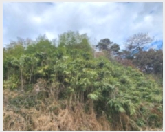  2024Ÿ27972     178-4      (Ӿ)