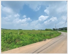  2024Ÿ��1482 ���� �ͻ�� ������ 65-3       ����(��1)���