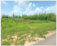  2024Ÿ��1482 ���� �ͻ�� ������ 65-3       ����(��1)���