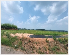  2024Ÿ��1482 ���� �ͻ�� ������ 65-3       ����(��1)���