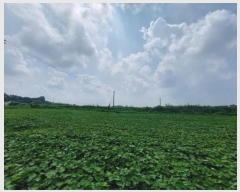  2024Ÿ��1482 ���� �ͻ�� ������ 65-3       ����(��1)���