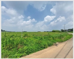  2024Ÿ��1482 ���� �ͻ�� ������ 65-3       ����(��1)���