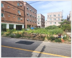  2024Ÿ��1963 ���� ����� ���ĵ��� 690-4       ����(����)���