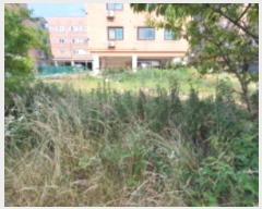  2024Ÿ��1963 ���� ����� ���ĵ��� 690-4       ����(����)���