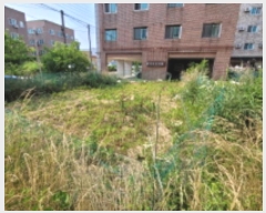  2024Ÿ��1963 ���� ����� ���ĵ��� 690-4       ����(����)���