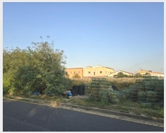  2024Ÿ3440    52-9       ()