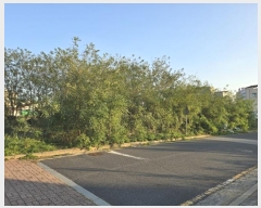  2024Ÿ3440    52-9       ()