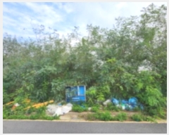  2024Ÿ3440    52-9       ()