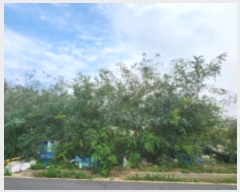  2024Ÿ3440    52-9       ()