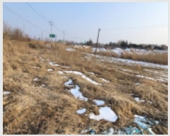  2024Ÿ4283  ͻ Ȳ Ȳ 718-2      ()