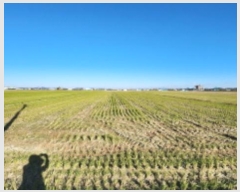  2024Ÿ��27323  ����