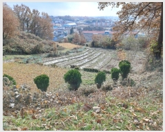  2024Ÿ27347   ȸ  856-5      ()