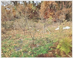  2024Ÿ27347   ȸ  856-5      ()