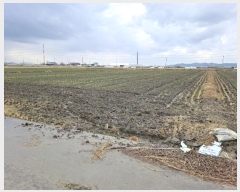  2024Ÿ27347   ȸ  224      (1)