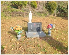  2024Ÿ27347   ȸ  224      (1)