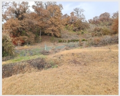  2024Ÿ27347   ȸ  224      (1)