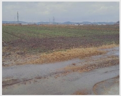  2024Ÿ27347   ȸ  224      (1)