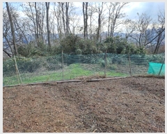  2024Ÿ27514   ȭ 748-18       (1)