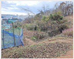  2024Ÿ27514   ȭ 748-18       (1)