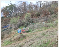  2024Ÿ27514   ȭ 748-18       (1)