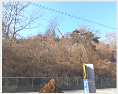  2024Ÿ��28081  �Ӿ߰��