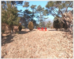  2024Ÿ��28081  �Ӿ߰��