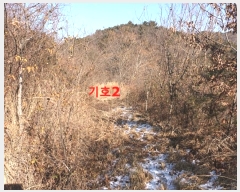  2024Ÿ��28081  �Ӿ߰��