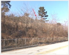  2024Ÿ��28081  �Ӿ߰��