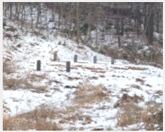  2024Ÿ��28081  �Ӿ߰��