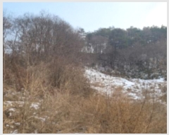  2024Ÿ��28081  �Ӿ߰��