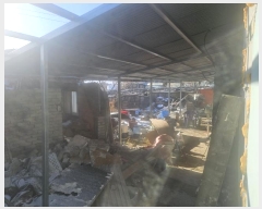  2024Ÿ28135  ͻ  Ϸ 272      ð