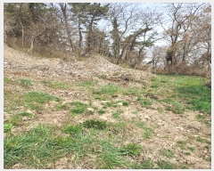  2024Ÿ550  ξȱ ȭ ȭ 74-1      (Ӿ)