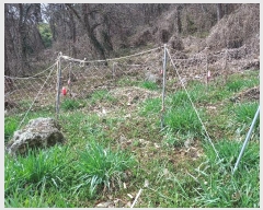  2024Ÿ550  ξȱ ȭ ȭ 74-1      (Ӿ)