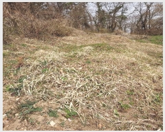  2024Ÿ550  ξȱ ȭ ȭ 74-1      (Ӿ)