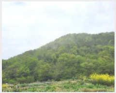  2024Ÿ550  ξȱ ȭ ȭ 74-1      (Ӿ)