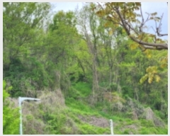  2024Ÿ550  ξȱ ȭ ȭ 74-1      (Ӿ)