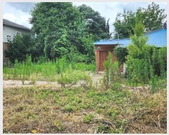  2024Ÿ��1676 ���� ������ �������� �����θ� 195-13      ����(����)���