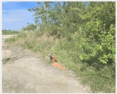  2024Ÿ��1973 ���� ��â�� ��â�� �ְ 691-2      ������