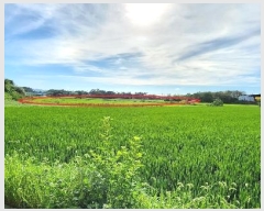  2024Ÿ��2006 ���� ������ ���θ� �Լ��� 692      ����(��)���