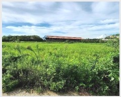  2024Ÿ��2006 ���� ������ ���θ� �Լ��� 692      ����(��)���