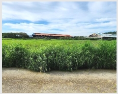  2024Ÿ��2006 ���� ������ ���θ� �Լ��� 692      ����(��)���