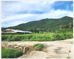  2024Ÿ��2006 ���� ������ ���θ� �Լ��� 692      ����(��)���