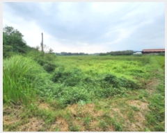  2024Ÿ��2006 ���� ������ ���θ� �Լ��� 692      ����(��)���