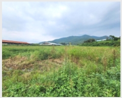  2024Ÿ��2006 ���� ������ ���θ� �Լ��� 692      ����(��)���